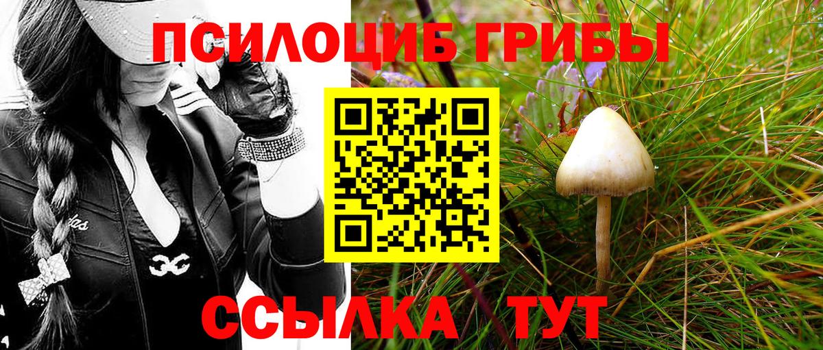 Псилоцибиновые грибы MAGIC MUSHROOMS Петропавловск-Камчатский