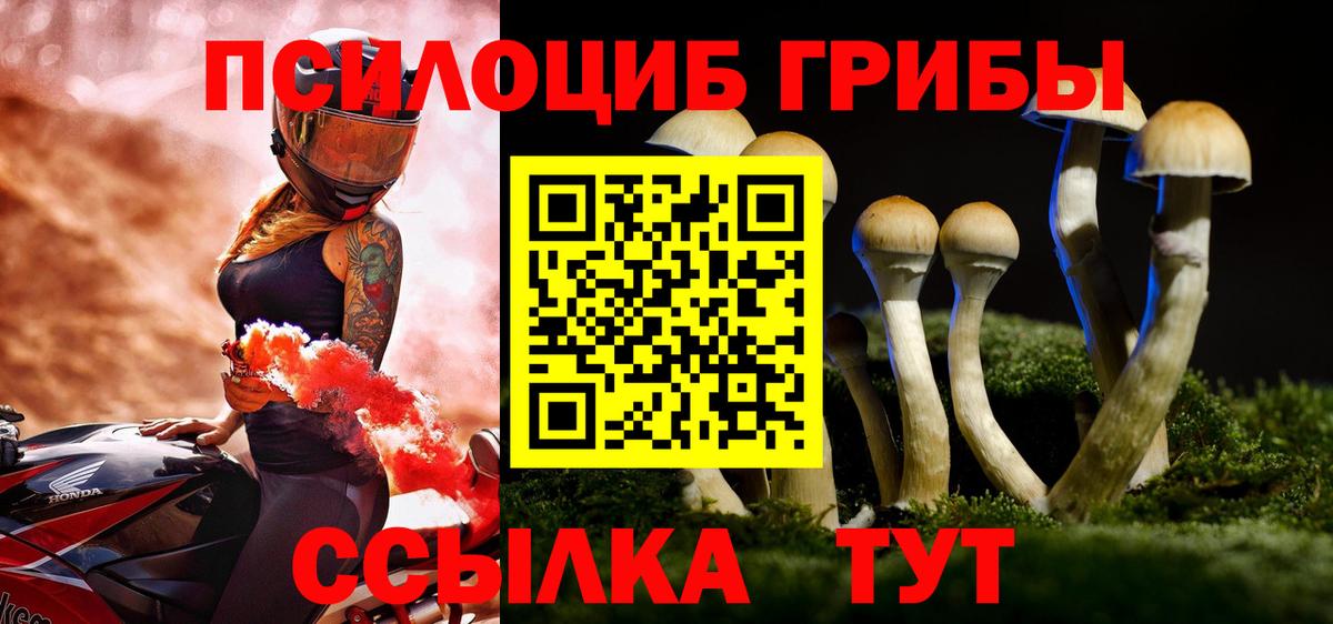 где продают наркотики  Галлюциногенные грибы Psilocybine cubensis  Вход с VPN  Петропавловск-Камчатский 